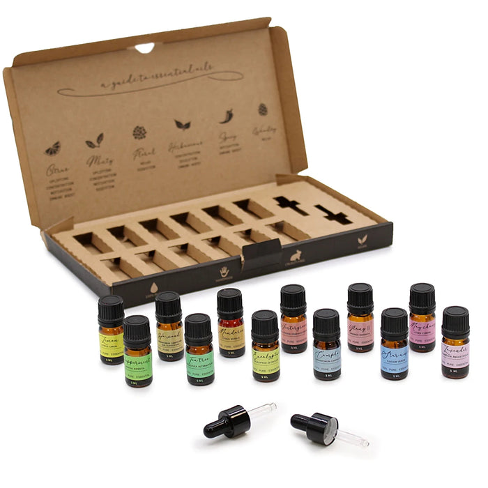 Ancient Wisdom aromatherapy essential oil starter gift set with 12 small bottles and 2 droppers in a presentation box