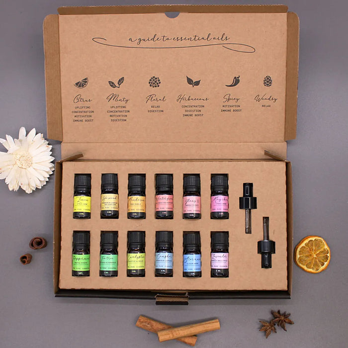 Ancient Wisdom aromatherapy essential oil starter gift set with 12 small bottles and 2 droppers in a presentation box