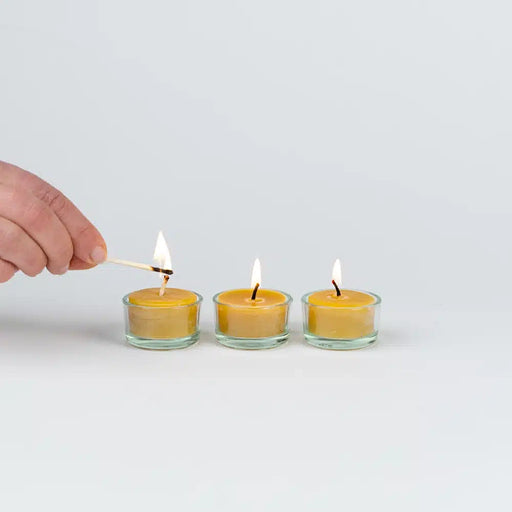 Hanna's Bees beeswax tealight candles gift set with three tealights in glass holders in a small gift box
