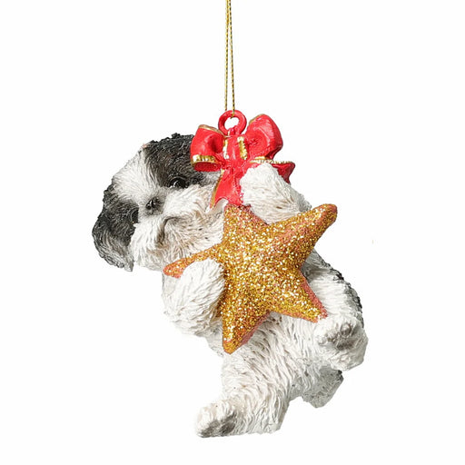 Close-up of Black & White Dog Hanging From A Star showing detailed fur markings and golden star accent.