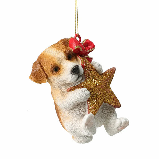 Close-up of Brown & White Dog Hanging From A Star showing soft brown tones and shiny star detail.