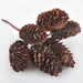 Brown dried cones decoration.