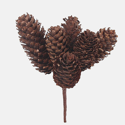 Brown dried cones decoration.