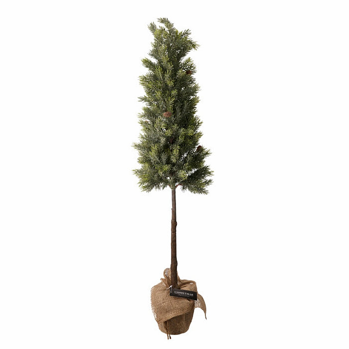 Close-up of dewy green pine branches and natural burlap pot showing detailed needles and fresh finish.