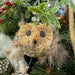 Close-up of Hanging Owl Christmas tree decoration showing detailed feathers and rustic finish.