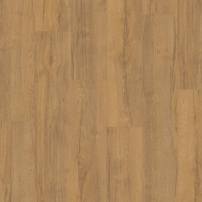 Close-up of Golden Oak laminate plank showing fine natural grain, bevelled edges, and smooth matte finish.