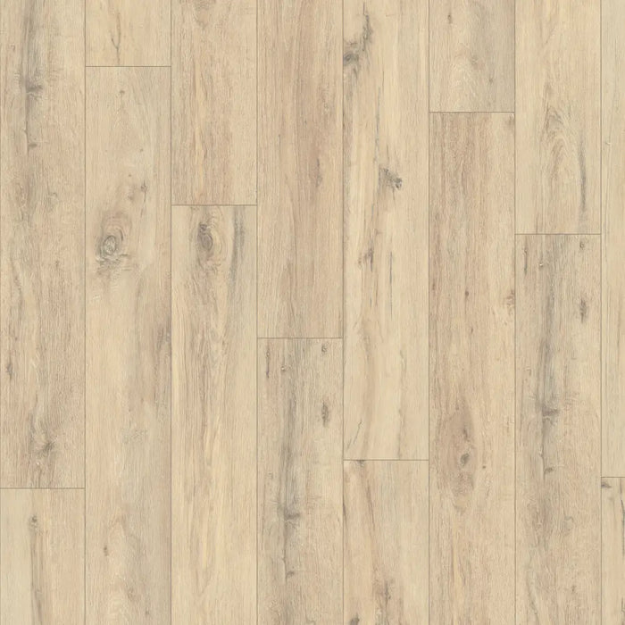 Detail view of Traditional Oak laminate plank highlighting knots, grain variation, and the natural-textured Omnipore finish.