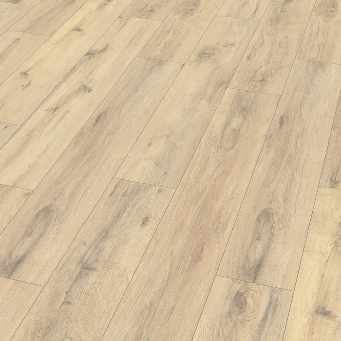 Detail view of Traditional Oak laminate plank highlighting knots, grain variation, and the natural-textured Omnipore finish.