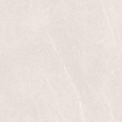 Close-up of Homeful Essentials White Matt tile highlighting its smooth texture and pure white colour.
