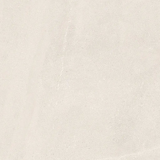 Close-up of Homeful Essentials White Matt tile highlighting its smooth texture and pure white colour.