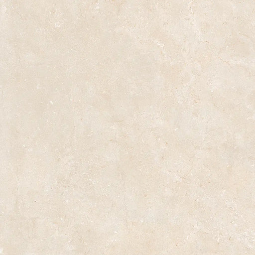 Detailed view of Montpellier Marfil tile showing its smooth matt surface and subtle marfil colouring.