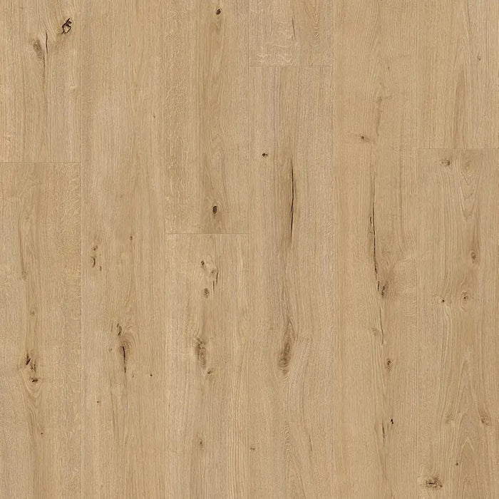 Detailed view of Pergo Glomma Natural Irish LVT flooring showing authentic oak grain patterns.
