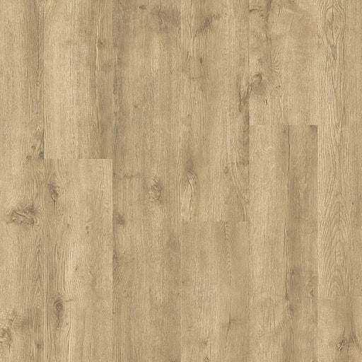 Close-up view showing the natural oak grain and soft beige hue of Pergo Namsen Beige Century LVT.