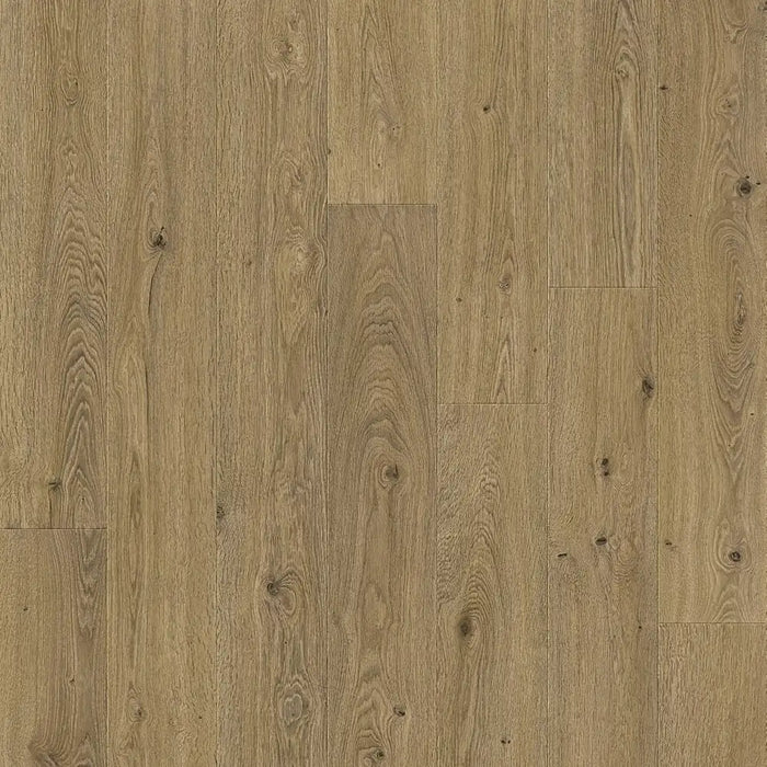 Zoomed-in view of Pergo Odense Beaufort laminate floor, highlighting the subtle beige grain pattern, matte finish, and beveled edges.