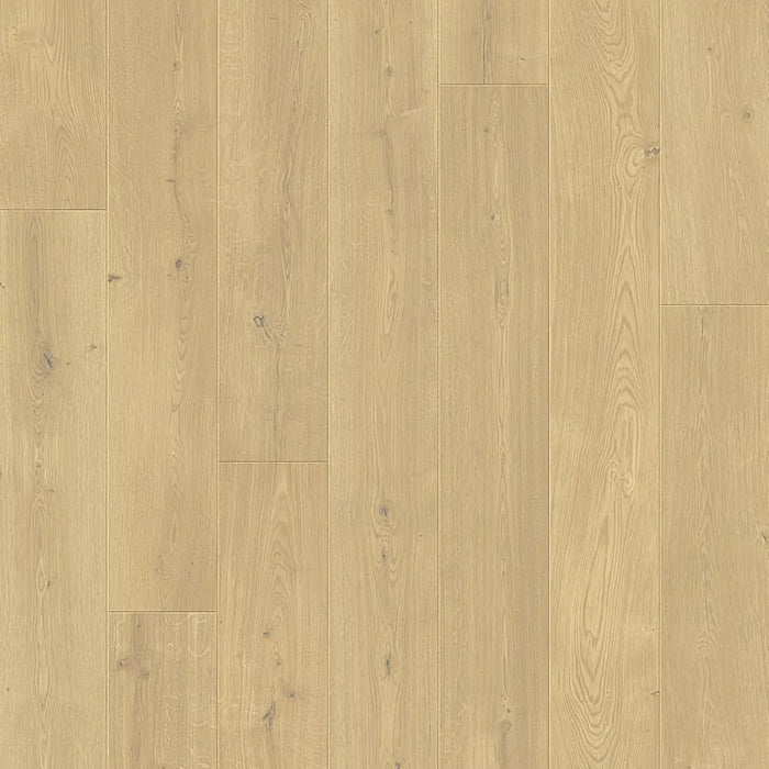 Close-up of Pergo Odense Clouded showing realistic wood texture in soft grey with matte finish and distinct 4-way bevel edges.