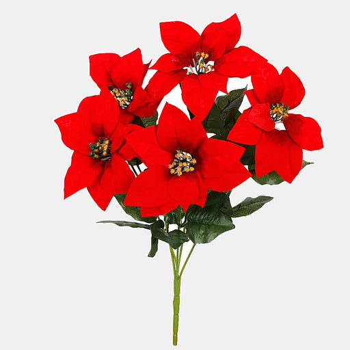 5 Red Poinsettia flowers