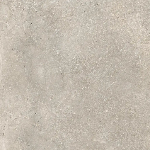 Close-up of Roden Beige Natural porcelain tile highlighting its soft beige hue and smooth matt texture.