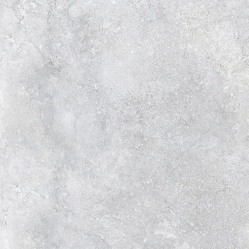 Detailed close-up of Roden Perla Natural porcelain tile showing its smooth matt surface and gentle grey tone.