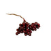 Shiny Burgundy Berry Cluster Pick