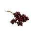 Shiny Burgundy Berry Cluster Pick