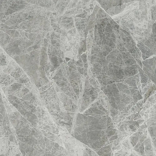 Close-up view of Silver Grey Polished tile showing its smooth, reflective surface and subtle grey shading.