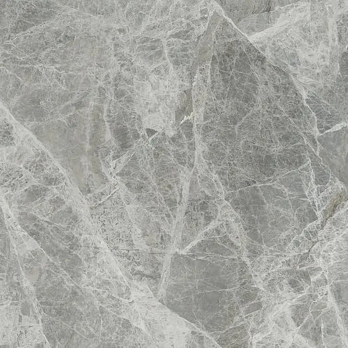 Close-up view of Silver Grey Polished tile showing its smooth, reflective surface and subtle grey shading.