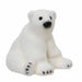 Sitting Polar Bear Cub