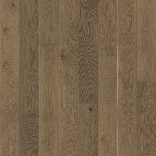Detailed view of Trendtime 4 Nougat flooring showing oak grain texture, mini bevel edge, and matt lacquer finish.