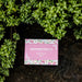 The Moher Soap Wild Rose Handmade Soap