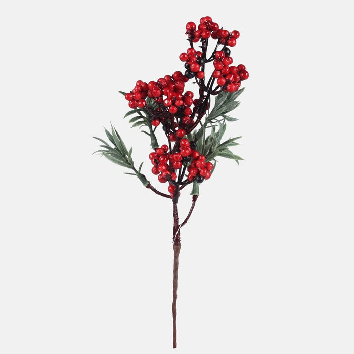 Yew branch with red berries