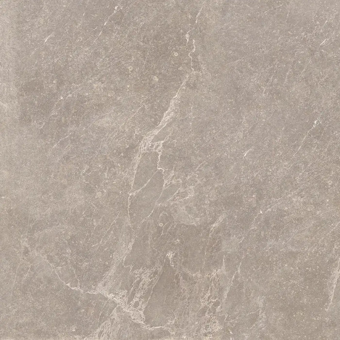 Close-up texture detail of Bleuemix Taupe Porcelain tile