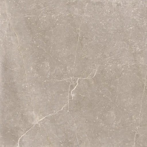Close-up marble-effect veining detail of Bleuemix Taupe Porcelain tile