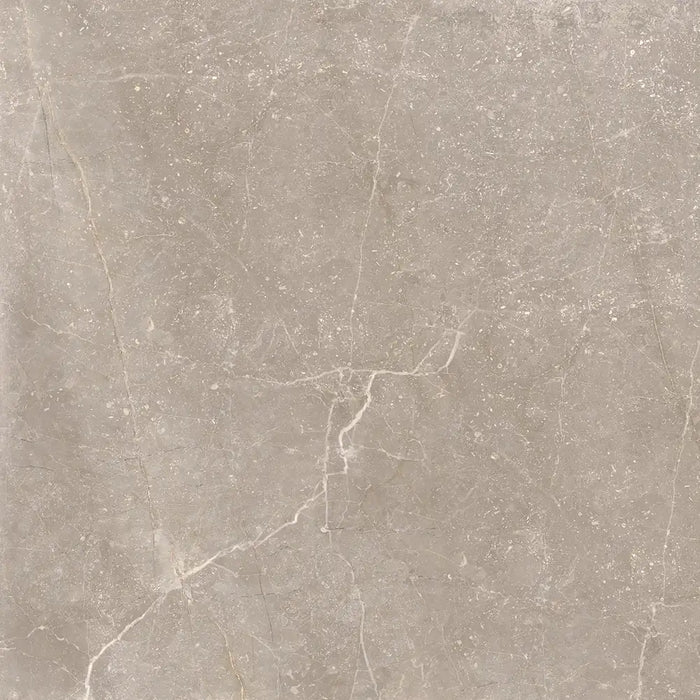 Close-up marble-effect veining detail of Bleuemix Taupe Porcelain tile