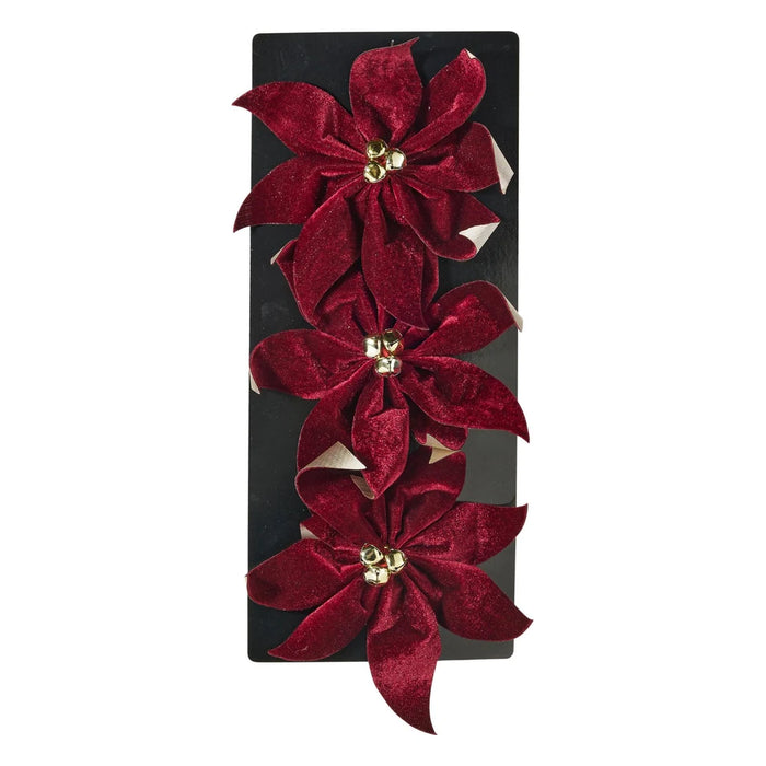 Set of three burgundy poinsettia flowers on a backing card