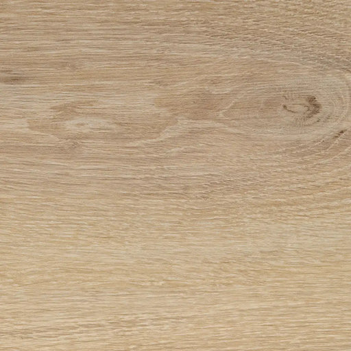 Close-up wood grain detail of Galway 12mm laminate flooring