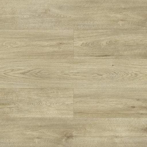 Close-up wood-grain detail of Krono Galaxy Oak 12mm laminate flooring