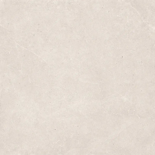 Close-up matt finish surface detail of Serena Bone porcelain tile