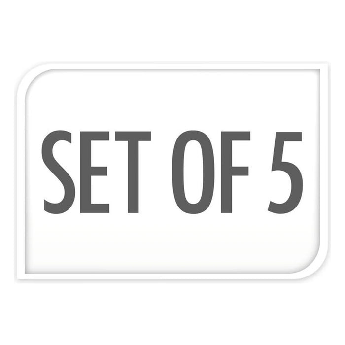 Set of 5 feature icon