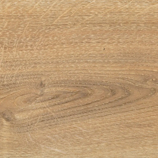 Close-up wood grain detail of Shannon 12mm laminate flooring