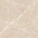 Alternate face of Syrah Ivory Matt Porcelain 60x60 marble-effect tile highlighting subtle ivory veining