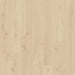 Close-up wood-grain detail of Pergo Visby Beige Claystone oak laminate flooring