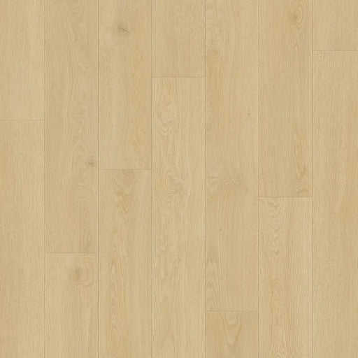 Close-up wood-grain detail of Pergo Visby Beige Sand Drift oak laminate flooring