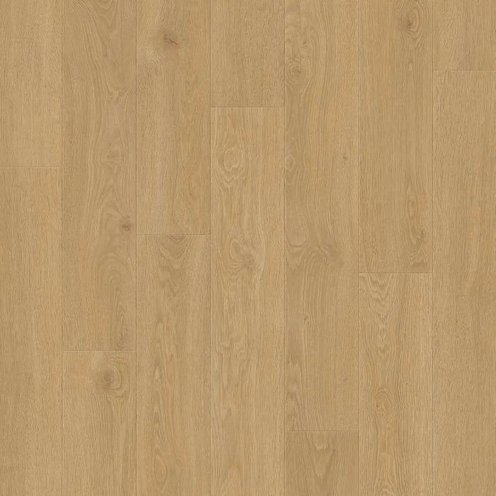 Close-up wood-grain detail of Pergo Visby Blush oak laminate flooring
