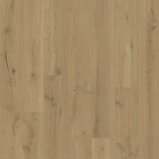 Close-up wood-grain detail of Pergo Visby Dark Brown Driftwood oak laminate flooring