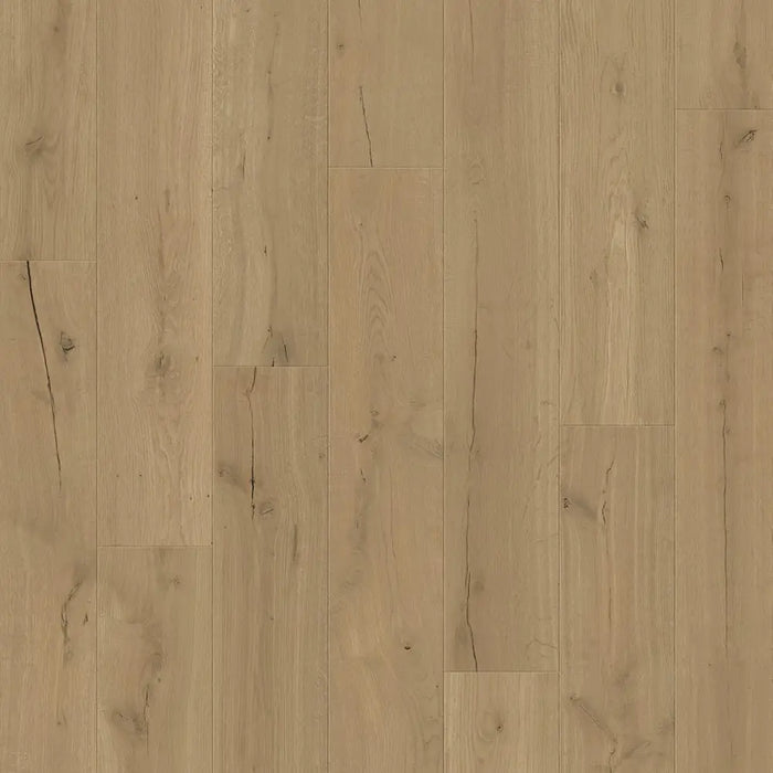 Close-up wood-grain detail of Pergo Visby Dark Brown Driftwood oak laminate flooring