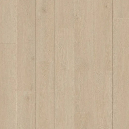 Close-up wood-grain detail of Pergo Visby Light Grey oak laminate flooring