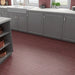 Wadi Garnet porcelain tile used on a kitchen floor and wall