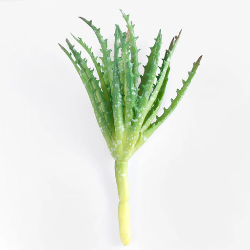 Green artificial aloe succulent
