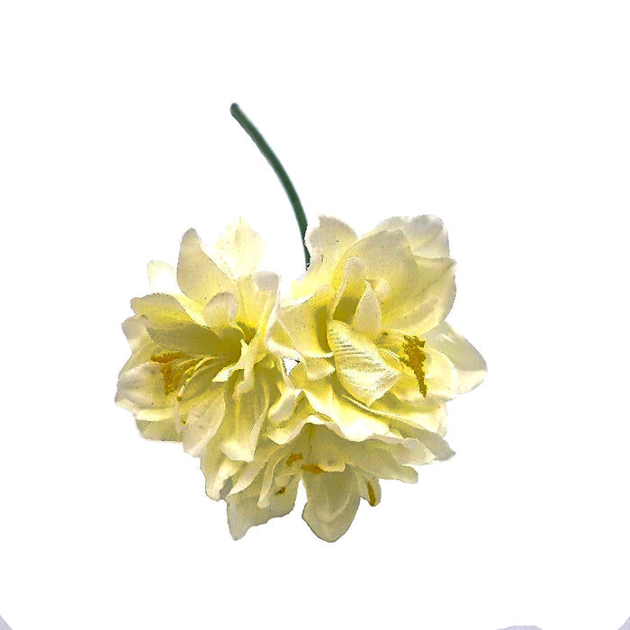 The Amaryllis cream stem with 3 flower heads