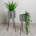 Azure sturdy tripod planters in patinated silver metal